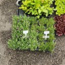 장유농약종묘사 이미지