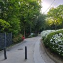 버티공영주차장 화장실 | [불암산] 등산 후기 - 5코스 등산 / 4코스 하산 (공영주차장 복귀)