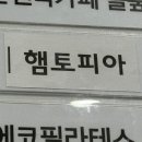 햄토피아천안