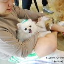 포포앤미루 강동점 이미지