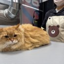 달봉이네 대연점 이미지