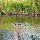 다혜-목장 이미지