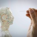 나비아이한의원 이미지