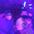 오리나라 이미지