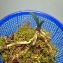 동진통신(주) 이미지