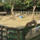 하북3길 이미지