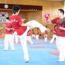 주니어7태권도 이미지