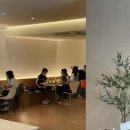 데일리레코드(daily record) 이미지