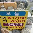 명물꿀빵7호점 | 통영꿀빵맛집 추천 통영꿀빵잘하는 곳 "명물꿀빵 7호점"솔직후기