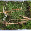 신기한농장 이미지