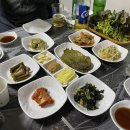 힘찬 민물 장어 이미지