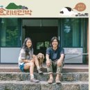 다시올민박 이미지