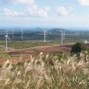 가시리 태양광발전소 이미지