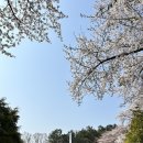 용인중앙공원_M 이미지