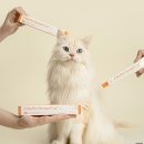 덴탈스토리 | 엘리오펫 덴탈케어, 내돈내산 리얼 생생 체험