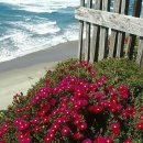 잘되는식당 이미지