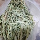 토끼먹골 이미지