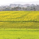 하늘닿은농장 이미지