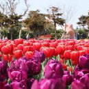 신안군청소년수련원 이미지