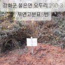 불은면-3 이미지