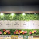 꼬꼬댁 왕후라이드 성남점