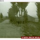 백신1리 이미지