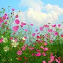 럭스타워공인중개사사무소 네이버블로그
