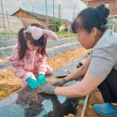 리더스1반 한서연의 즐거운 여름방학 이야기 이미지