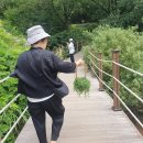 카페산정 이미지