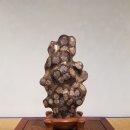 청송꽃돌