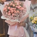 효양중학교 이미지