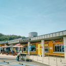 진도 소고기 대파국 네이버블로그