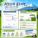 한여름 무더위 싹 날리는 리얼 시즈오카 골프여행 후기 ft.후지산뷰 명문 코스 올킬