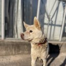 모텔포유 이미지