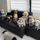 학교종이 댕댕댕 이미지