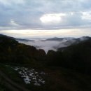 형도농장 이미지