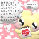 1월 첫째주 ~ 1월 넷째주 일상
