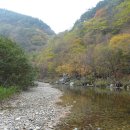 진동 계곡 민박 이미지