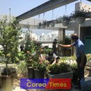 중2동 주민센터 이미지