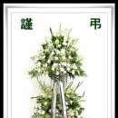 수원-0048 이미지