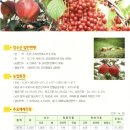 장수사과 - 목포시 하당로 189 | 장수사과