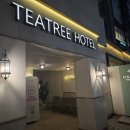 티트리 호텔 | 사당역 근처 숙소, '티트리호텔' 숙박 찐후기