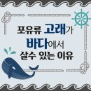 고래영어비전학원
