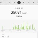 하나미 네이버블로그