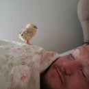 목동동로6길 | 블챌 해야하는데 쓸 시간 없음 이슈. 쓰다말고 올렸으니까 아직 아무도 읽지 말아줬으면 좋겠다 ㅋㅋ