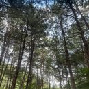속초 여행 숙소 가성비 좋고 물 좋고 공기 좋은 인제 이앤정타운숙소