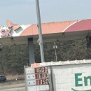 학암포주유소 이미지