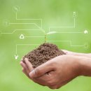 양지 태양에너지 태양광발전소 이미지