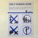 백구우체국 | [김제 카페] &#34;영필드&#34; 3000천평 천연잔디 전주근교카페 애견동반 되는 곳