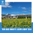 해바라기유치원 | 신곡새빛정원 &#39;달빛 물든 해바라기 3번째 나들이&#39; 안내